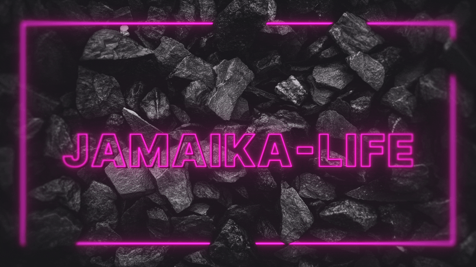 6535b990c8b57-Jamaika-Life.gif